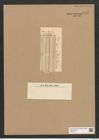 Grammatophora biharensis Pant. (de-Toni-Nr.: Genus 93, Species 3035) Zeichnungen Sammlung Grunow Nr. 6151 (NHMW-BOT-W0374711)